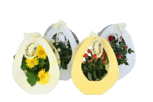 Flower mix in egg cover