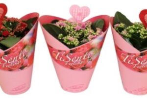 Calandiva Giftcover with heart decorations