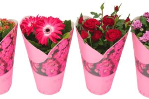 Bloeimix 12cm - Giftcover